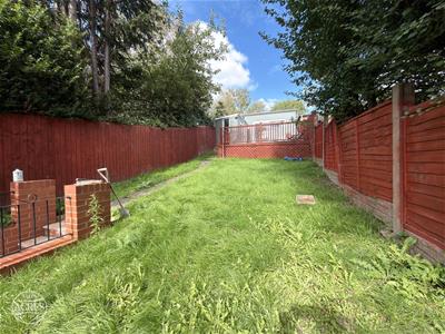 Picture 28